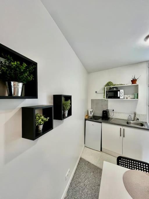 Studio 3 Rue Theodore Bac - Dabnb Limoges Exterior foto